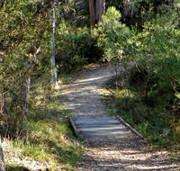 McDirtys Walking Track - Accommodation Burleigh