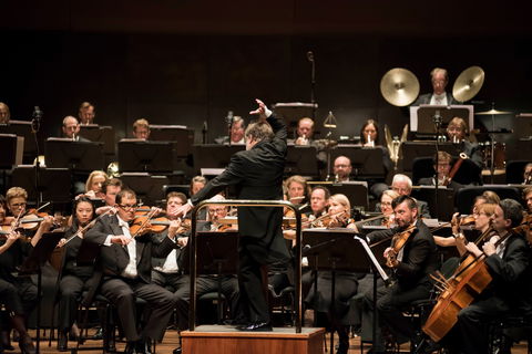 Melbourne Symphony Orchestra - Accommodation Burleigh 0
