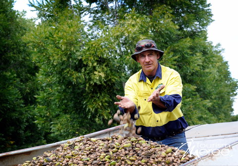 Moree - Accommodation Burleigh 2