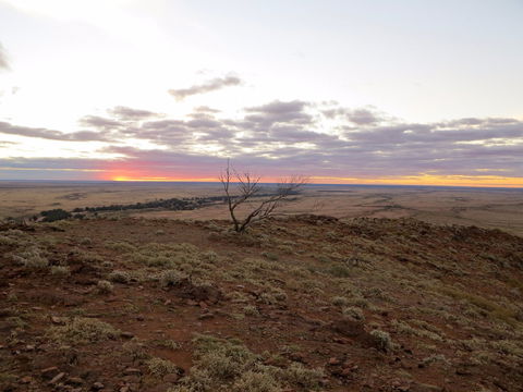 Mundi Mundi Plains - Accommodation Burleigh 0