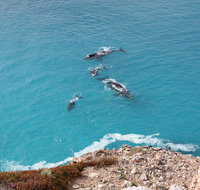 Nullarbor National Park - Accommodation Burleigh