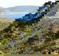 Patonga to Pearl Beach Walking Track - Accommodation Burleigh