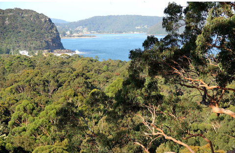 Patonga To Pearl Beach Walking Track - Accommodation Burleigh 0