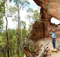 Pilliga Forest - Accommodation Burleigh