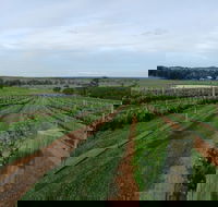 Razorback Cawdor Camden Park - Accommodation Burleigh