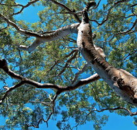 Ridge Walking Track - Accommodation Burleigh