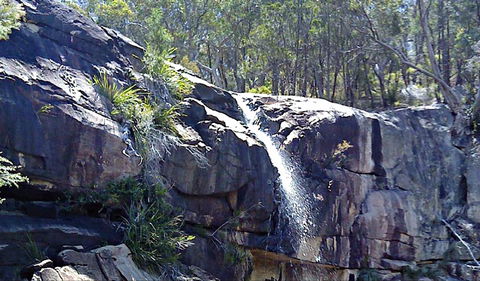 Ugly Corner Falls Walking Track - Accommodation Burleigh 0