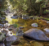 Washpool Walking Track - Accommodation Burleigh