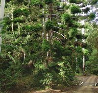 Way Way Creek Road Drive - Accommodation Burleigh