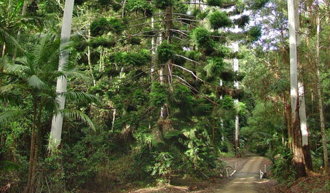 Way Way Creek Road Drive - Accommodation Burleigh 0