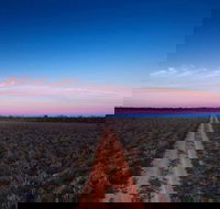 Yanga National Park - Accommodation Burleigh