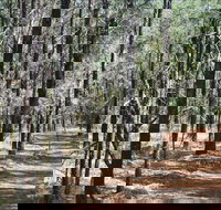 Yana-y Warruwi Walking Track - Accommodation Burleigh