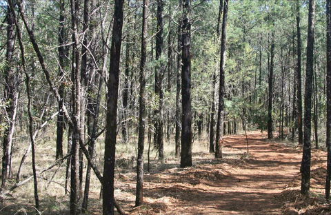 Yana-y Warruwi Walking Track - Accommodation Burleigh 0