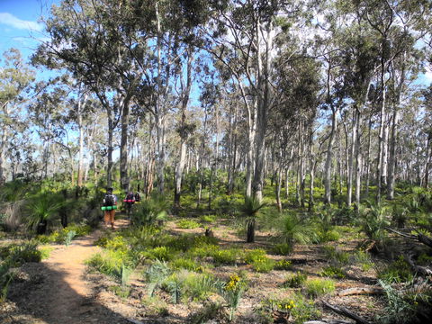 Bibbulmun Track - Accommodation Burleigh 1