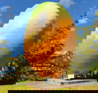 Big Mango - Accommodation Burleigh