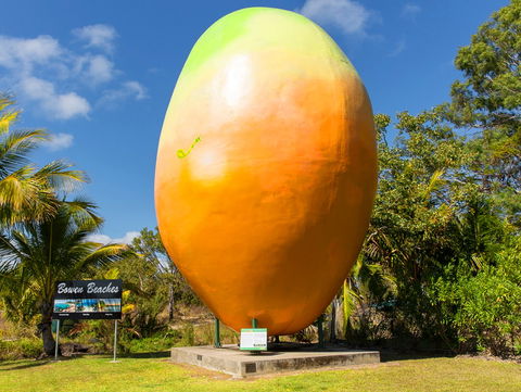 Big Mango - Accommodation Burleigh 0