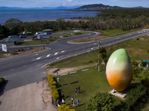 Big Mango - Accommodation Burleigh 1