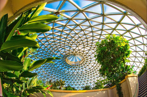 Brisbane Botanic Gardens Mount Coot-tha - Accommodation Burleigh 0