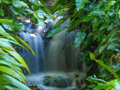 Brisbane Botanic Gardens Mount Coot-tha - Accommodation Burleigh 1