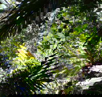 Byrrill Creek Walking Track - Accommodation Burleigh