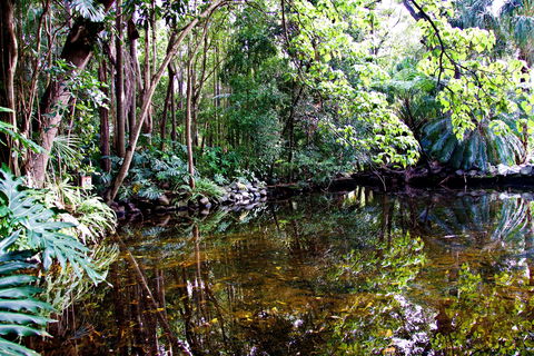 Cascade Gardens - Accommodation Burleigh 2