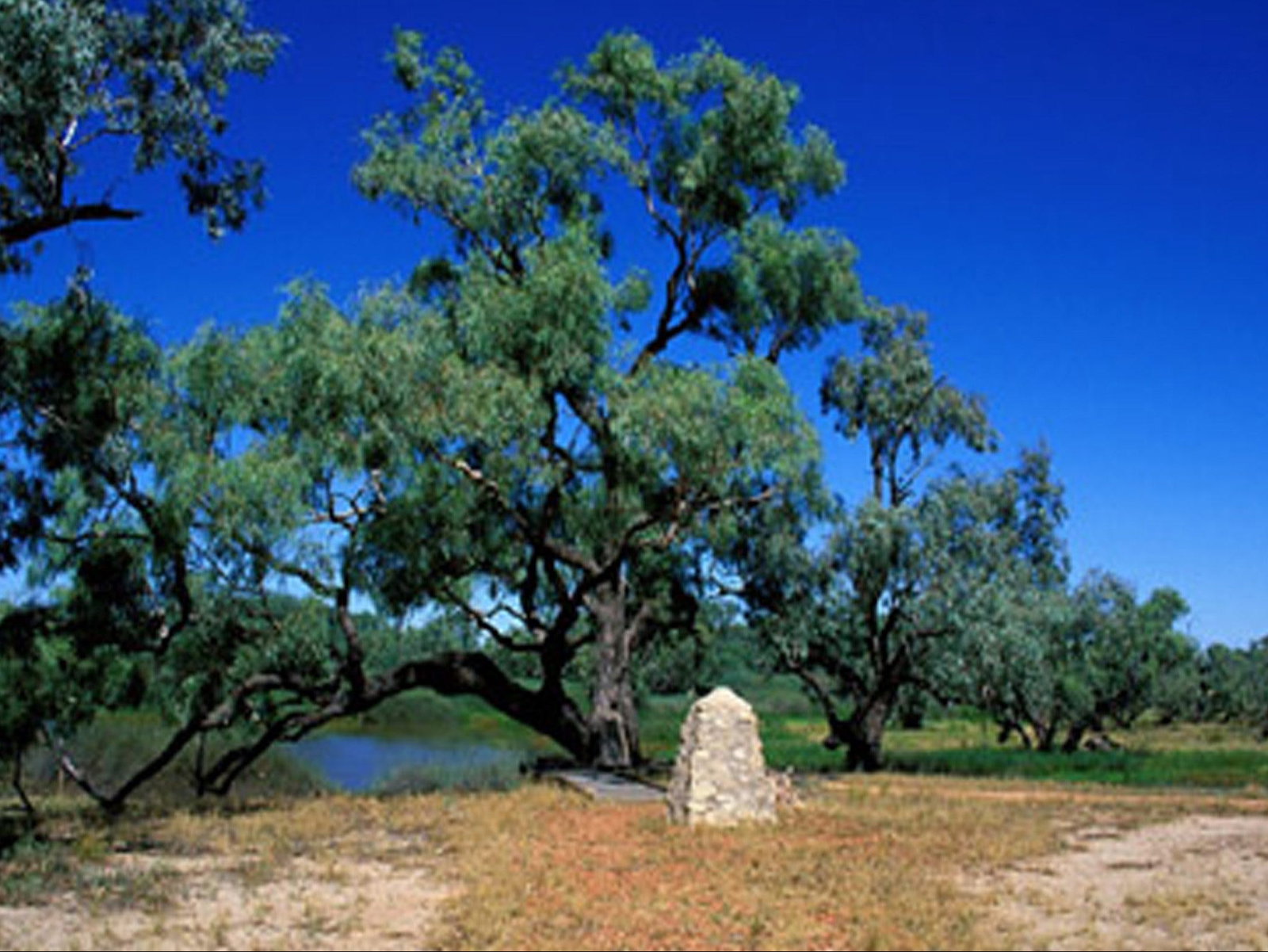 Comet QLD Accommodation Burleigh