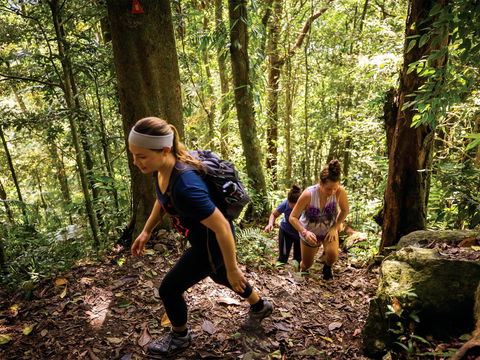 Devils Thumb (Manjal Jimalji) Trail - Accommodation Burleigh 0
