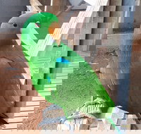 Eyre Reptile  Wildlife Park - Accommodation Burleigh