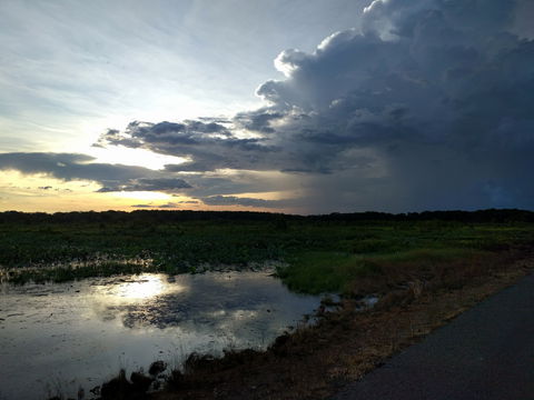 Fogg Dam Conservation Reserve - Accommodation Burleigh 2