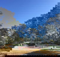 Grenfell Endemic Garden - Accommodation Burleigh