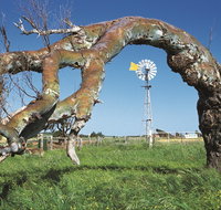 Greenough Leaning Trees - Accommodation Burleigh