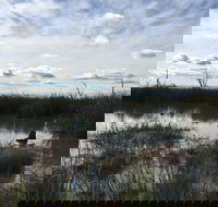 Gwydir Wetlands Moree - Accommodation Burleigh