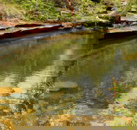 Hominy Creek Walking Track - Accommodation Burleigh