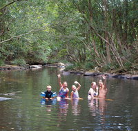Kerewong State Forest - Accommodation Burleigh