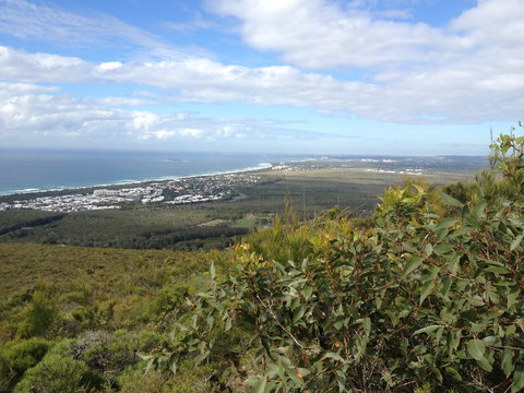 Mount Coolum National Park - Accommodation Burleigh 0