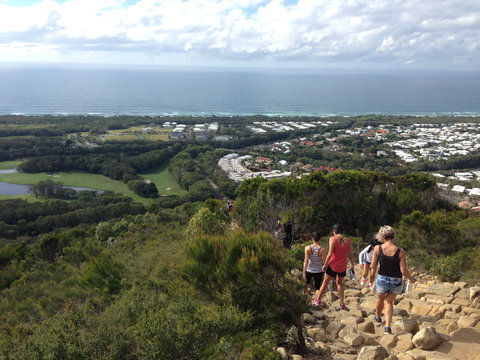 Mount Coolum National Park - Accommodation Burleigh 1