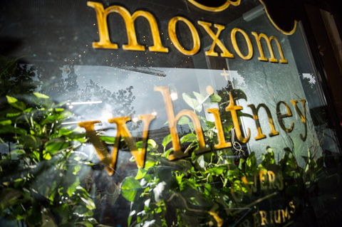 Moxom And Whitney - Accommodation Burleigh 2
