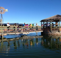 Ocean Park Aquarium - Accommodation Burleigh