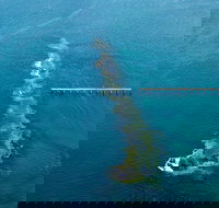 Port Noarlunga Reef Sanctuary Zone - Encounter Marine Park - Accommodation Burleigh