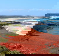 Red Cliff - Accommodation Burleigh