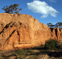 Red Banks Conservation Park - Accommodation Burleigh