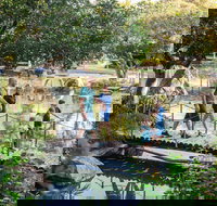 Rockhampton Botanic Gardens - Accommodation Burleigh