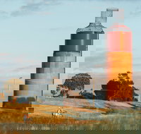 Rutherglen Wine Bottle - Accommodation Burleigh