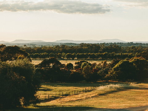 Rutherglen Wine Bottle - Accommodation Burleigh 2