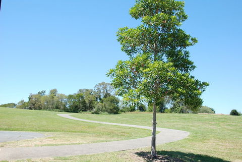 Samford Valley Rail Trail - Accommodation Burleigh 2