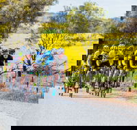 The Heron's Highway - Avon River Cycle Trail - Accommodation Burleigh
