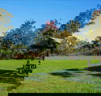 Tunks Hill picnic area - Accommodation Burleigh