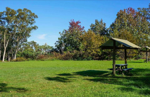 Tunks Hill Picnic Area - Accommodation Burleigh 0