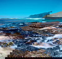Wyrrabalong National Park - Accommodation Burleigh