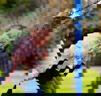 Apex Park Moree - Accommodation Burleigh